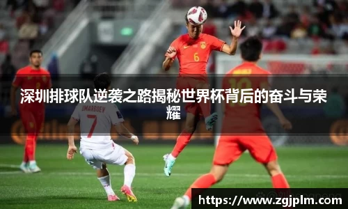 深圳排球队逆袭之路揭秘世界杯背后的奋斗与荣耀